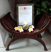 Aloha for Japan