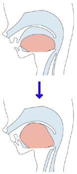 ̈ʒu